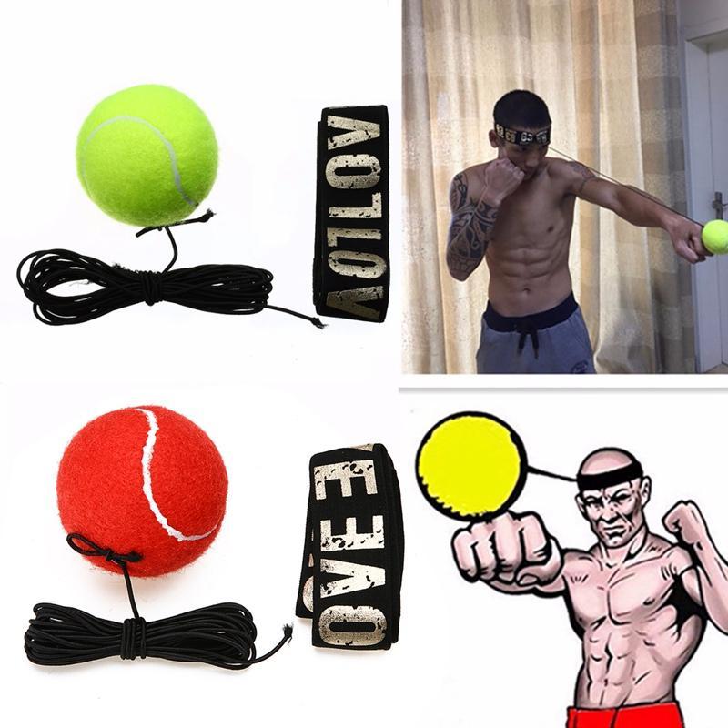 boxing reflex trainer for pros
