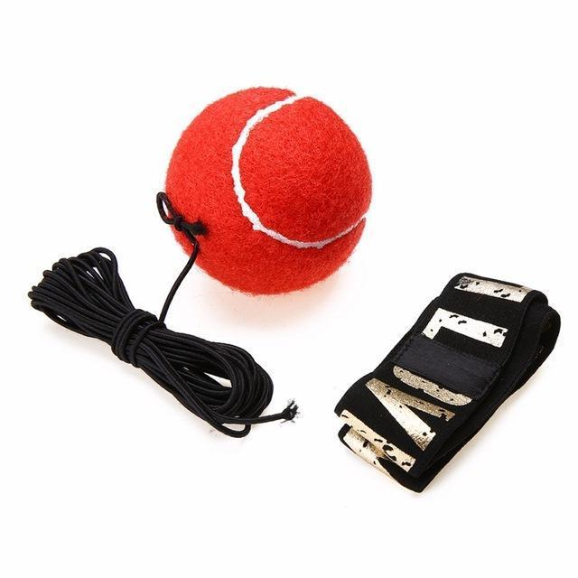 boxing reflex trainer for pros